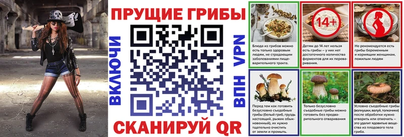 KRAKEN ТОР  Голицыно  Галлюциногенные грибы прущие грибы 